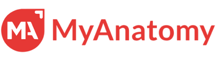MyAnatomy logo